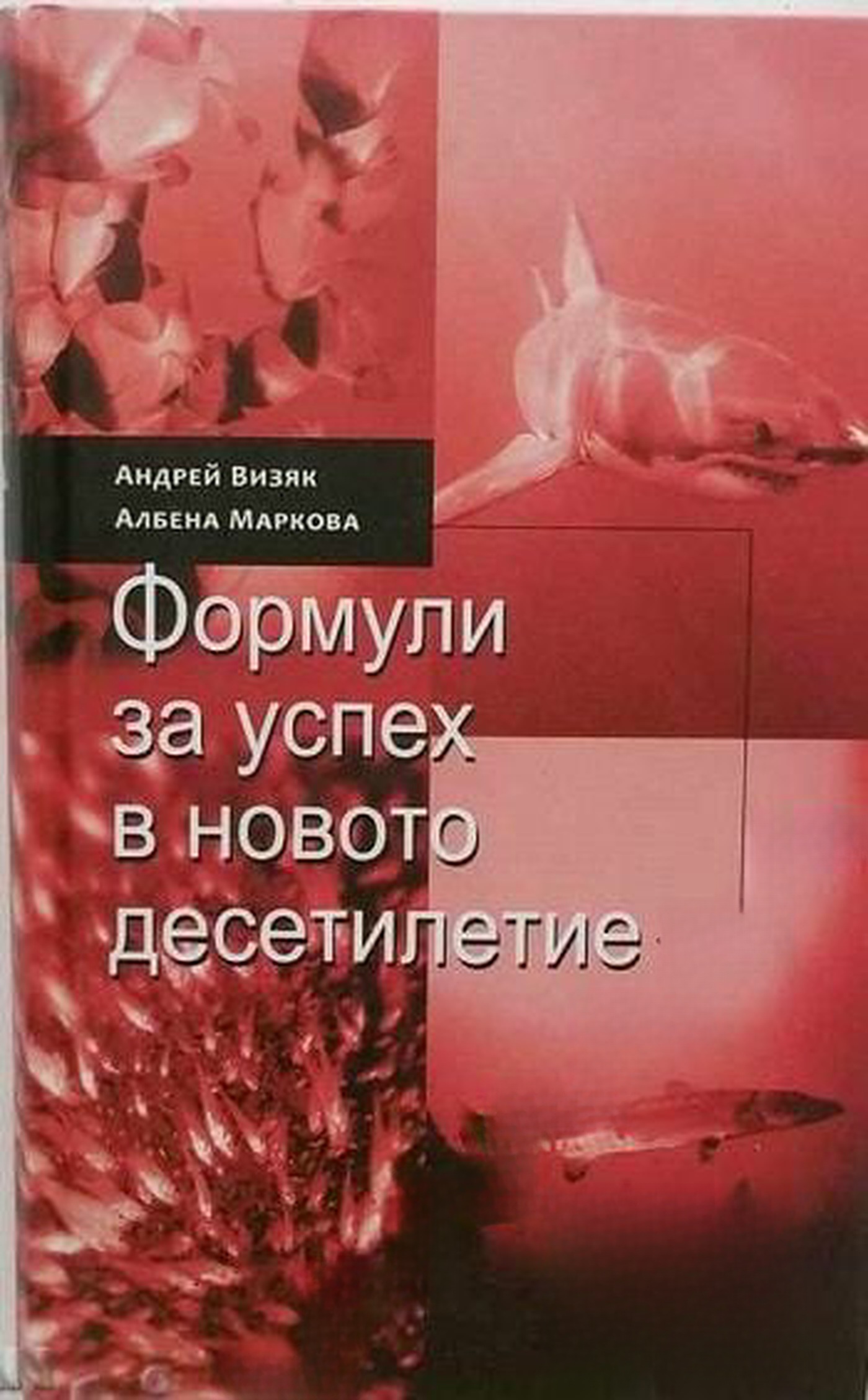 Формули за успех в новото десетилетие — обложка