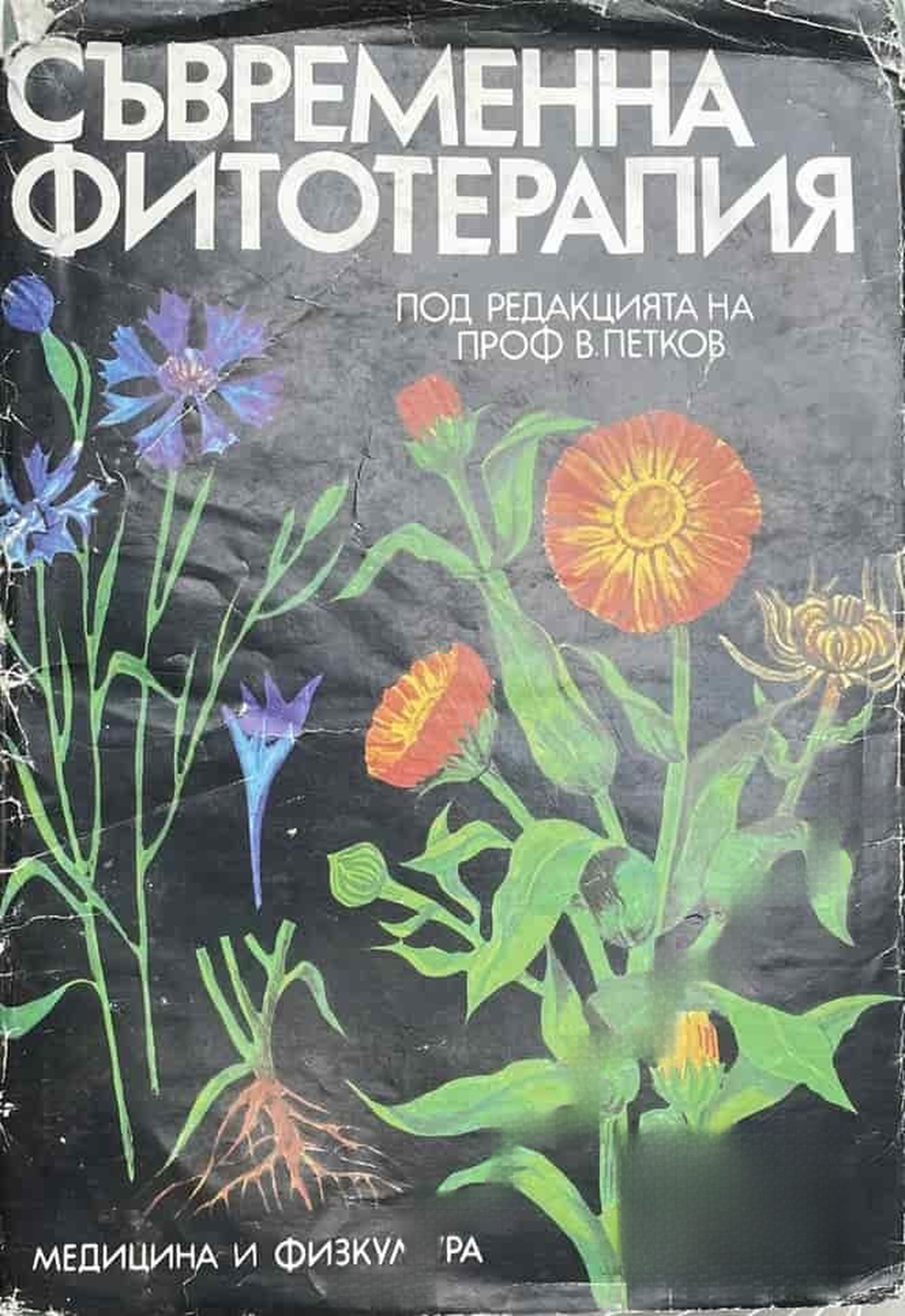 Съвременна фитотерапия — cover