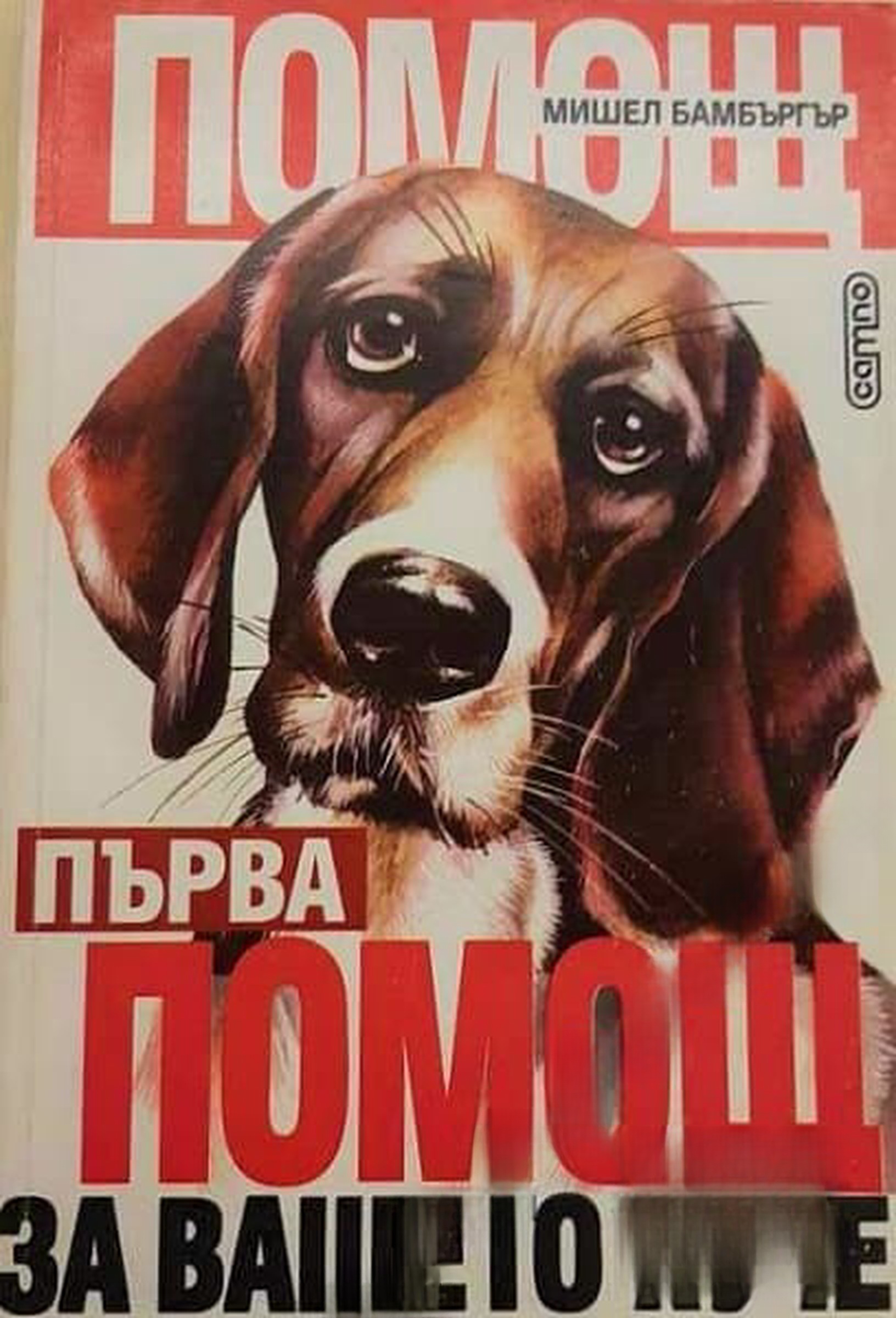 Първа помощ за вашето куче