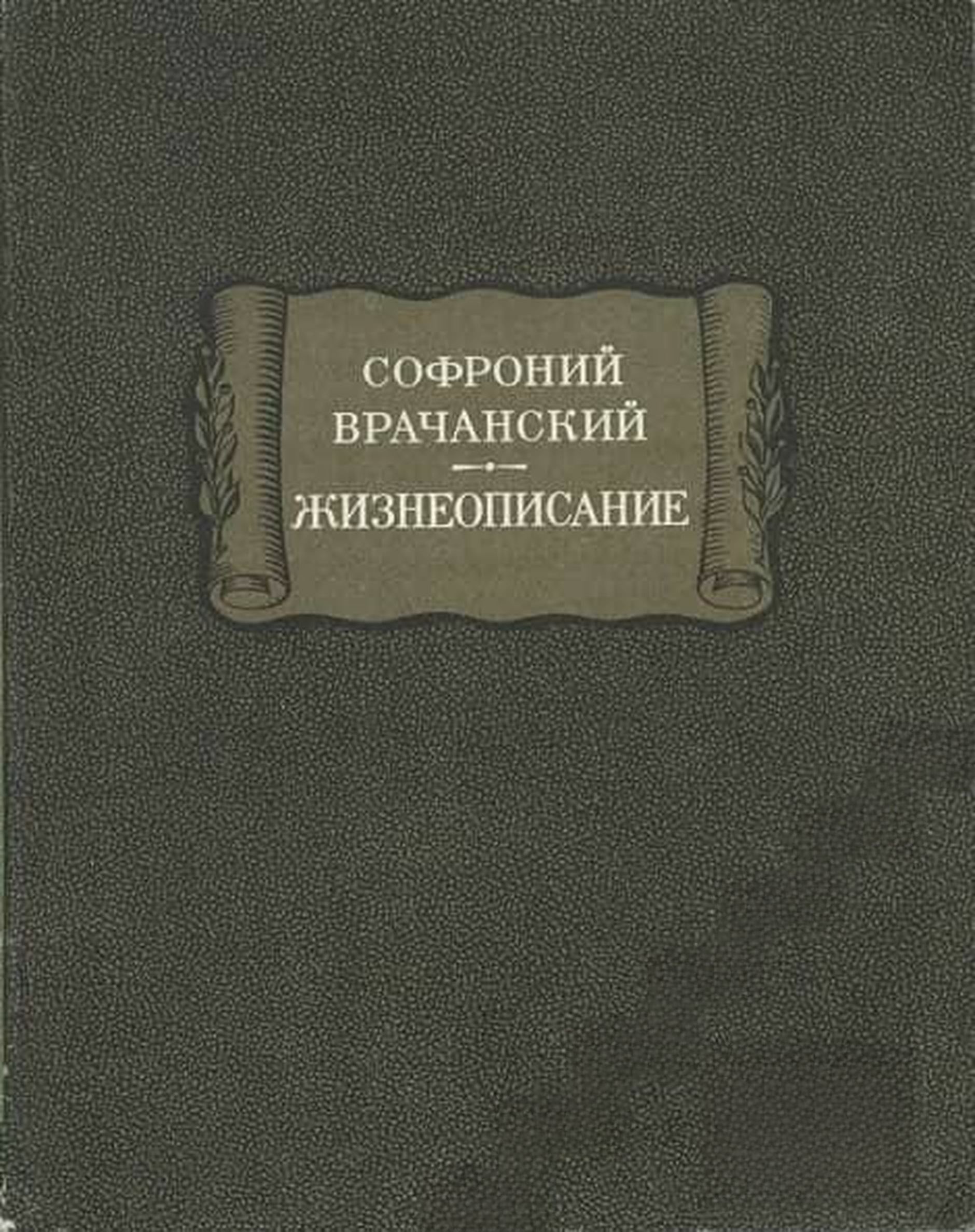 Жизнеописание — обложка