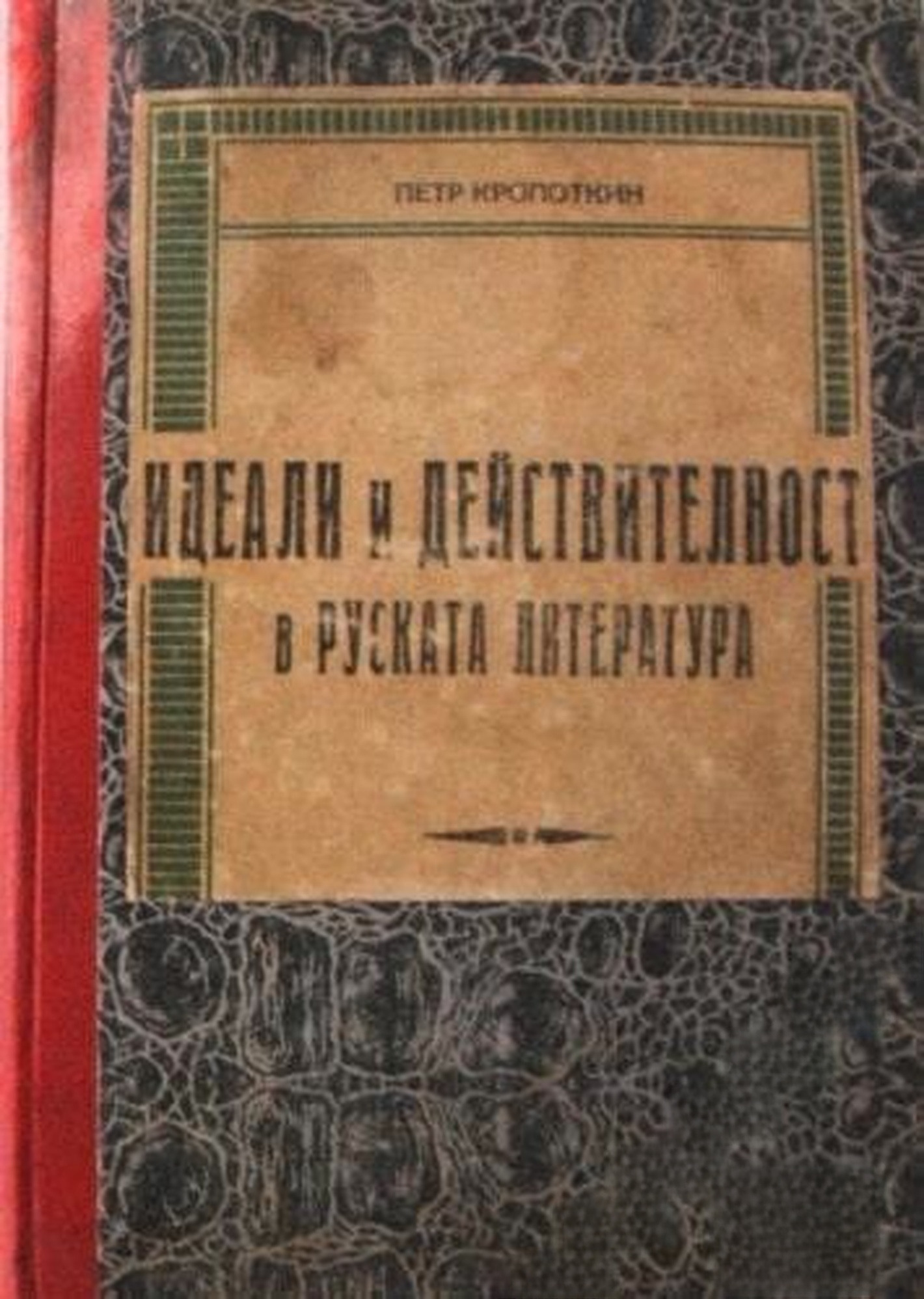 Идеали и действителност в руската литература — cover