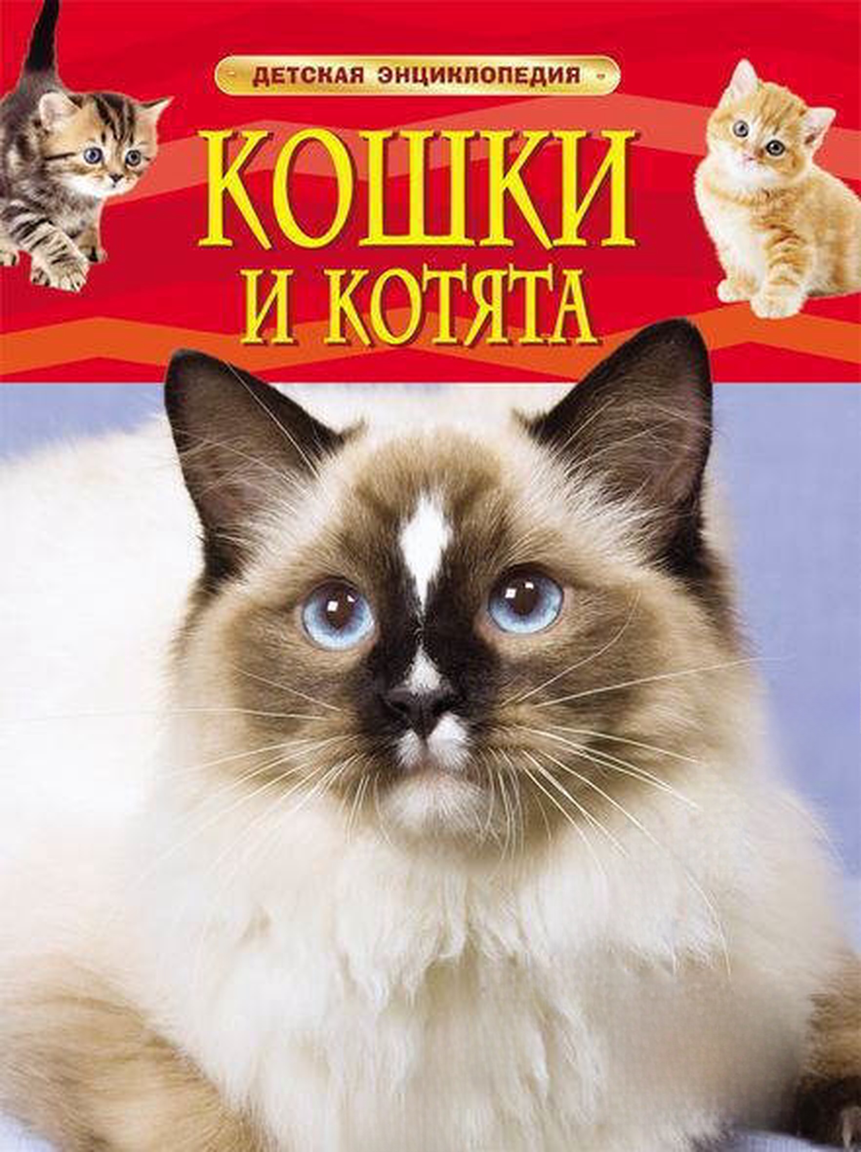 Кошки и котята. Детская энциклопедия — обложка
