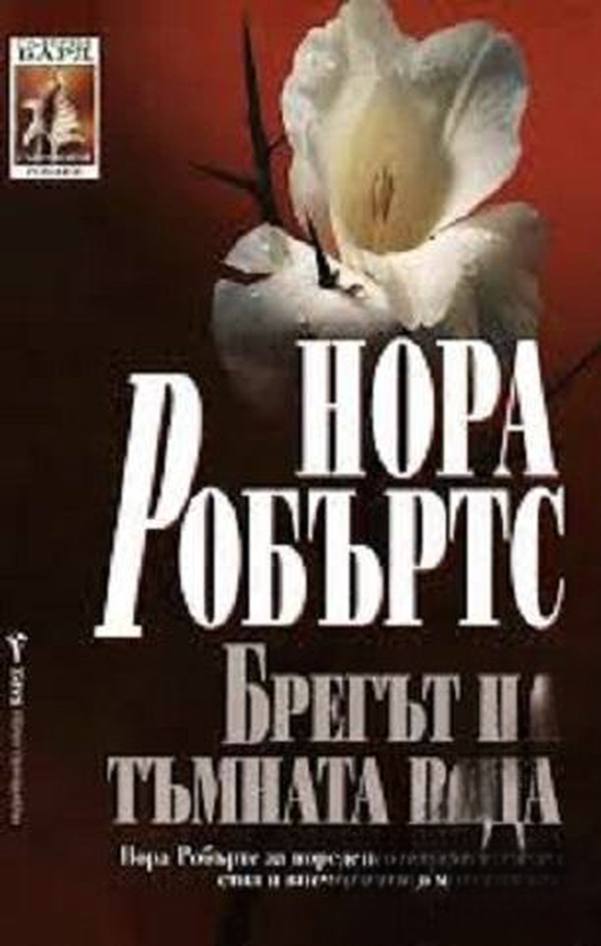 Брегът на тъмната вода — обложка