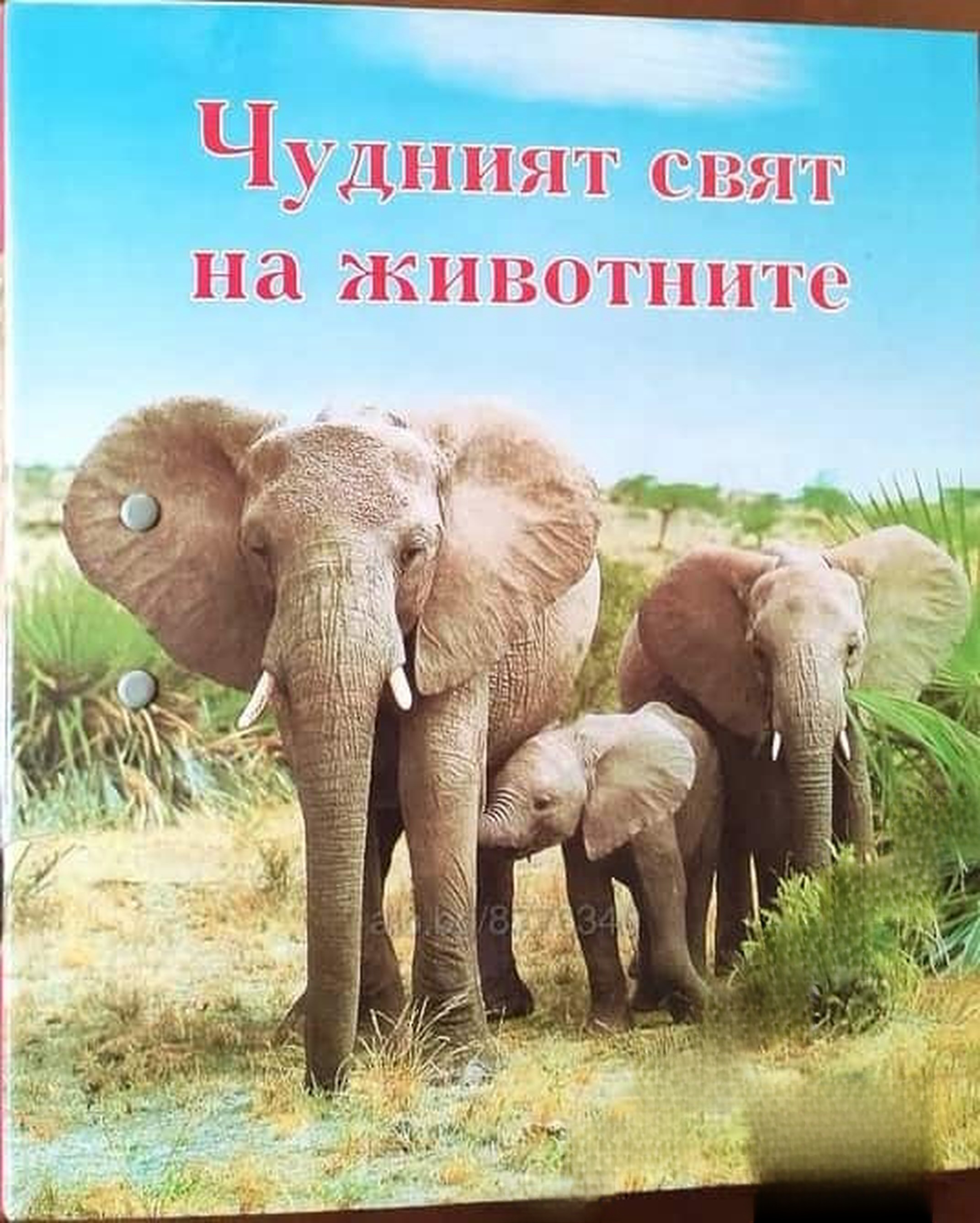 Чудният свят на животните. Група 1-11 — обложка