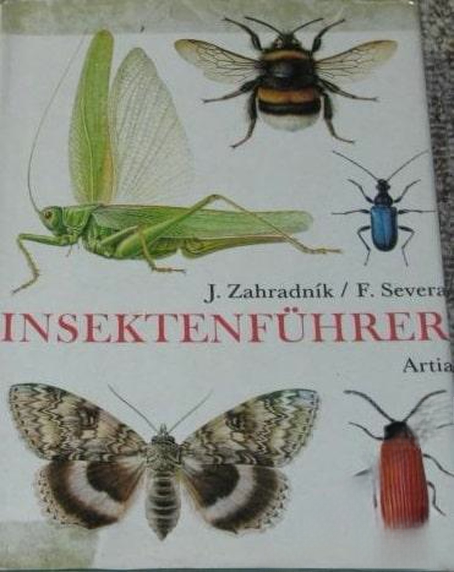 Insektenführer