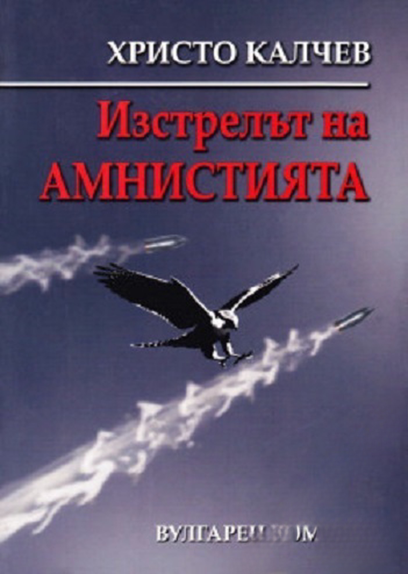 Изстрелът на амнистията — cover