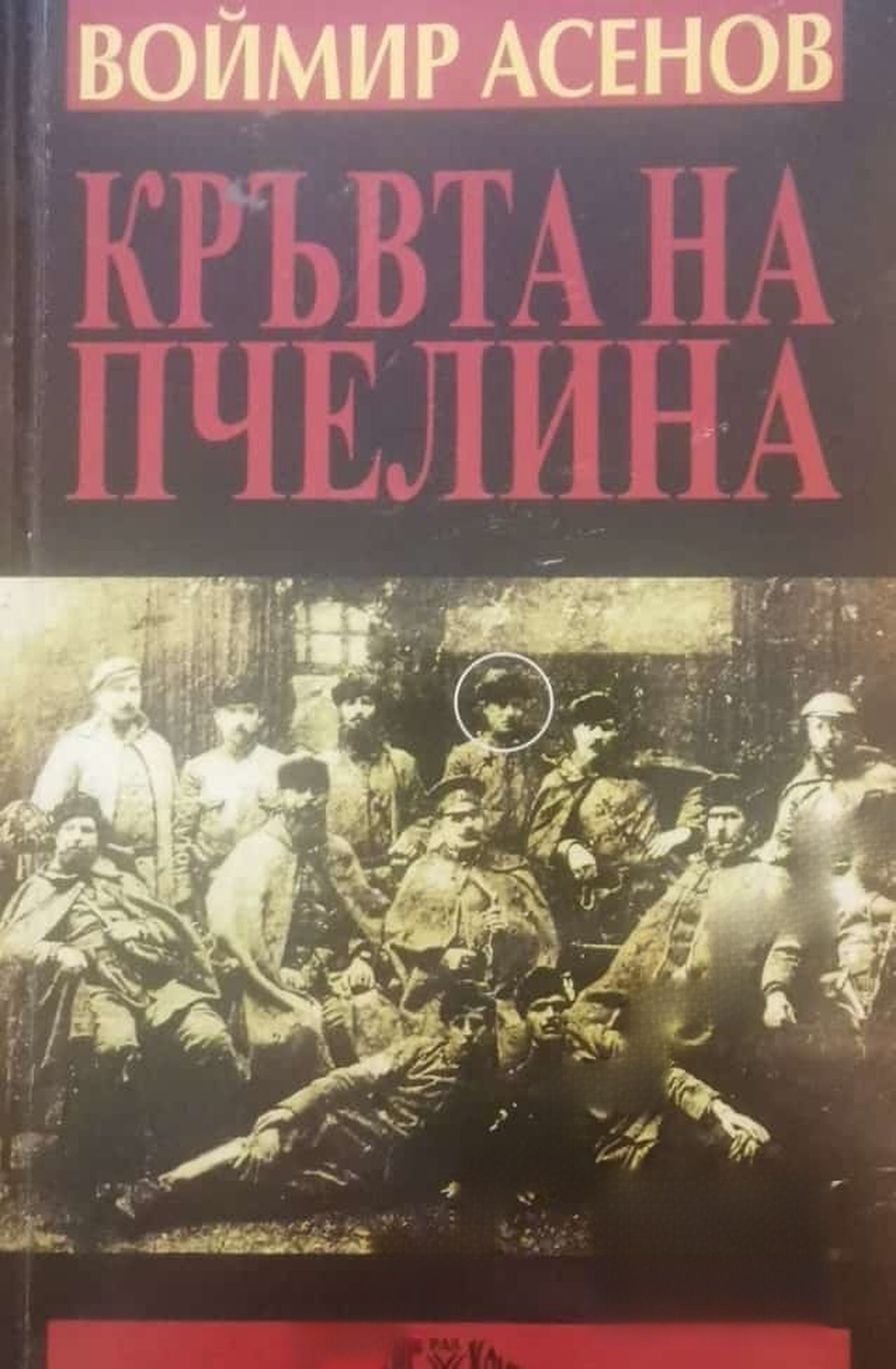 Кръвта на пчелина — обложка