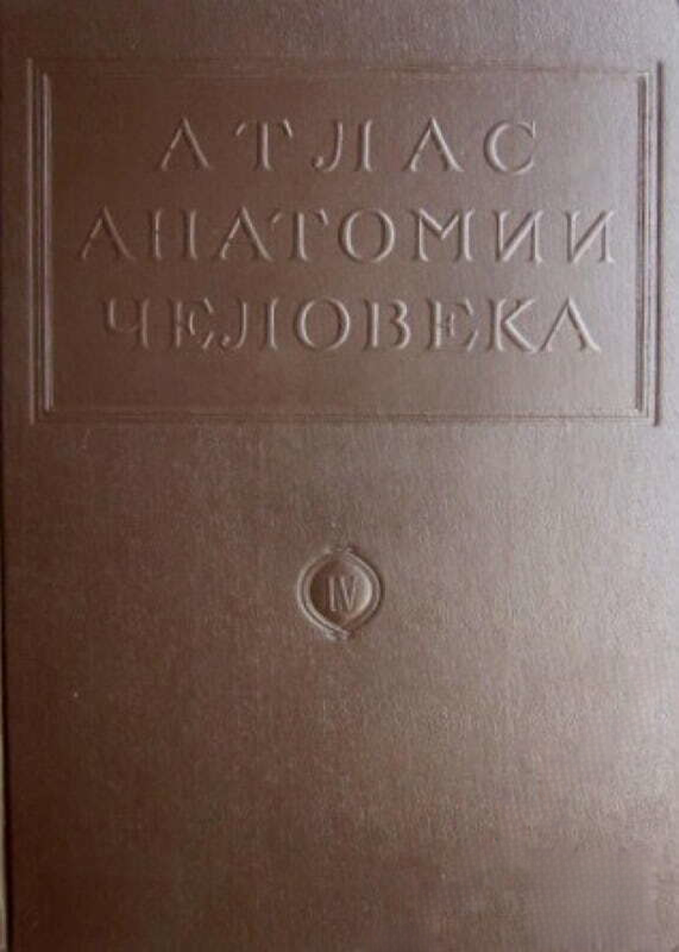 Атлас анатомии человека в пяти томах. Том 2-5 — обложка
