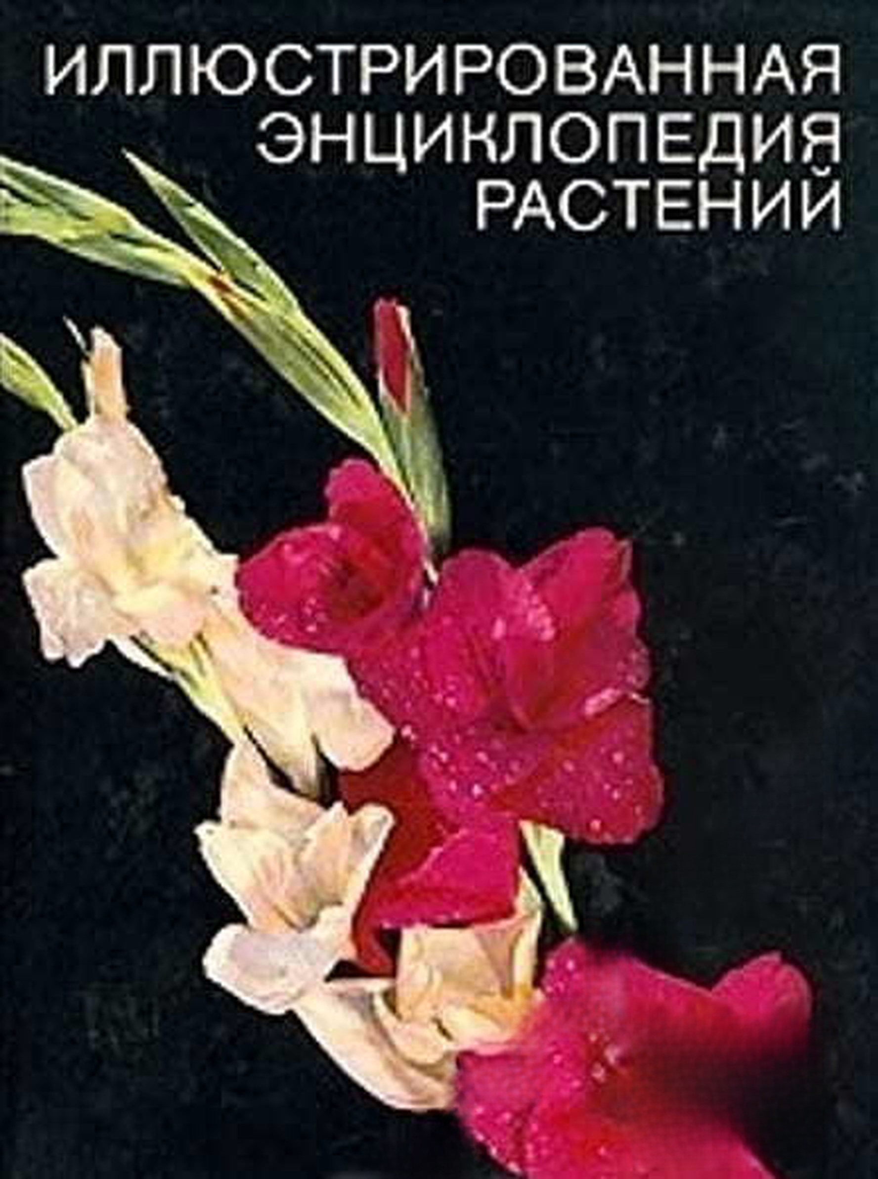 Иллюстрированная энциклопедия растений