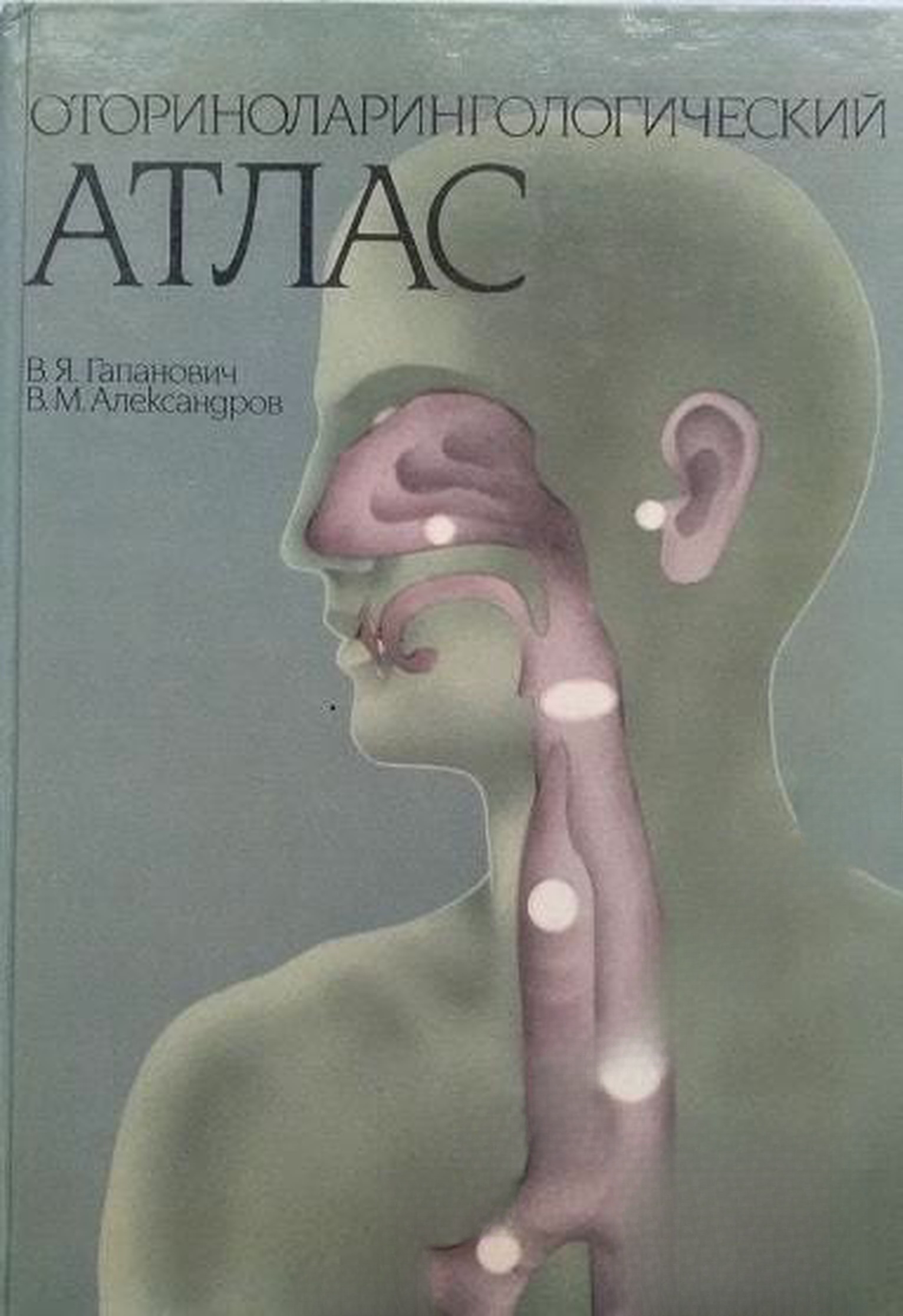 Оториноларингологический атлас — cover