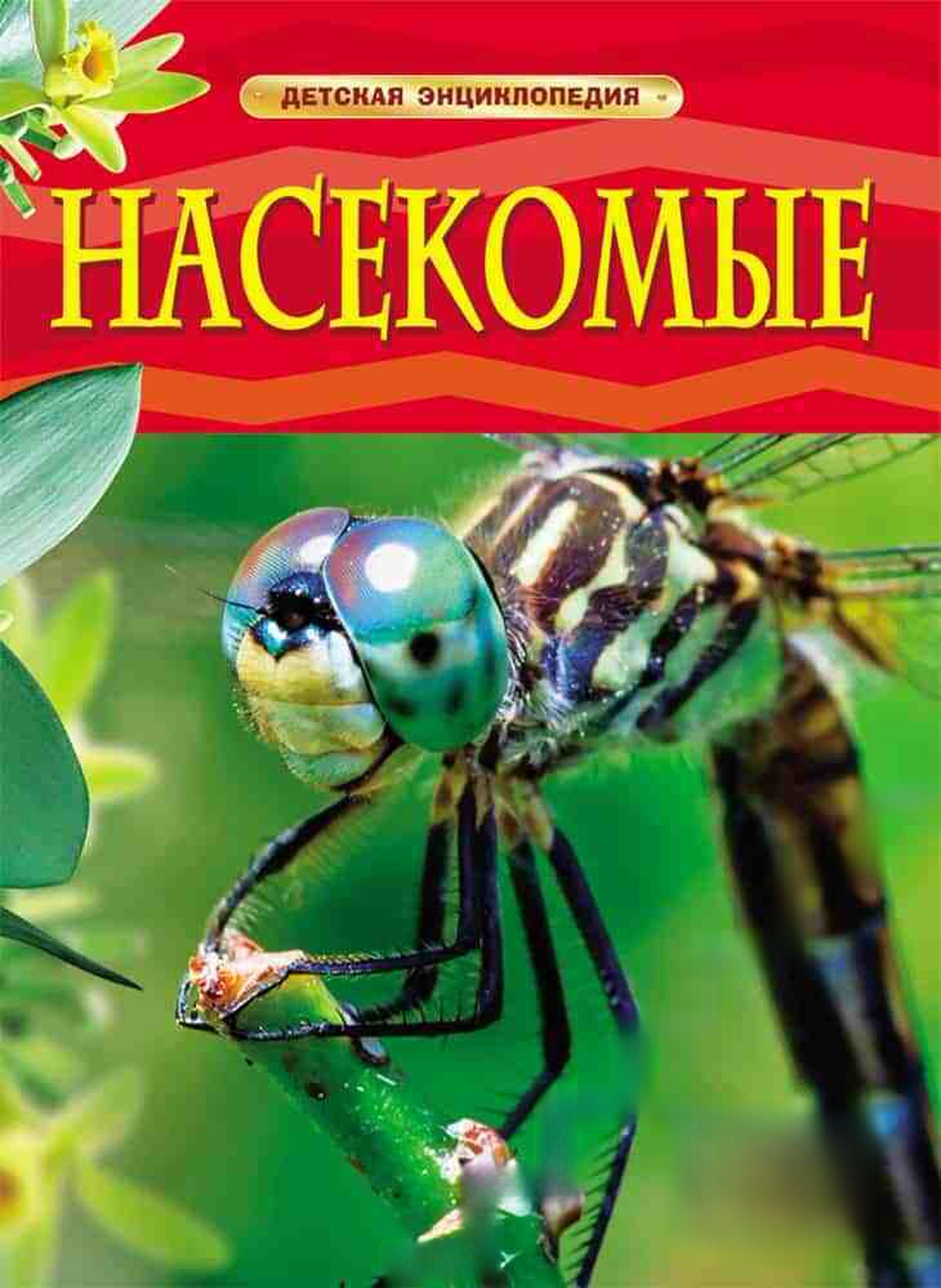 Насекомые. Детская энциклопедия — cover