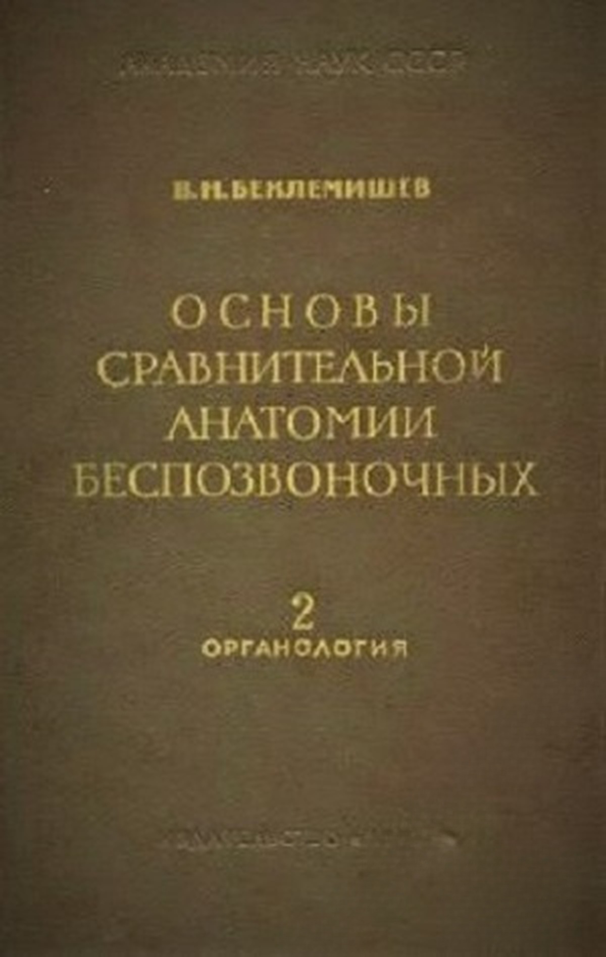 Основы сравнительной анатомии беспозвоночных. Том 2: Органология — cover