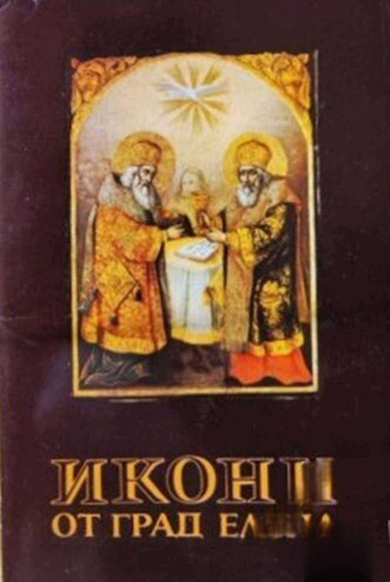 Икони от град Елена — корица