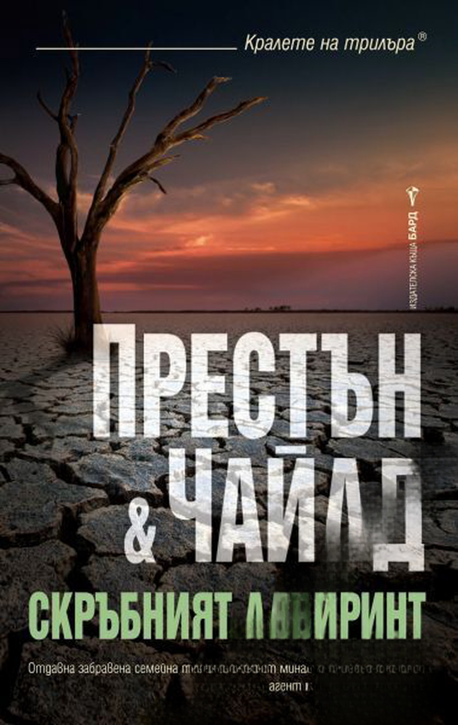 Скръбният лабиринт — обложка