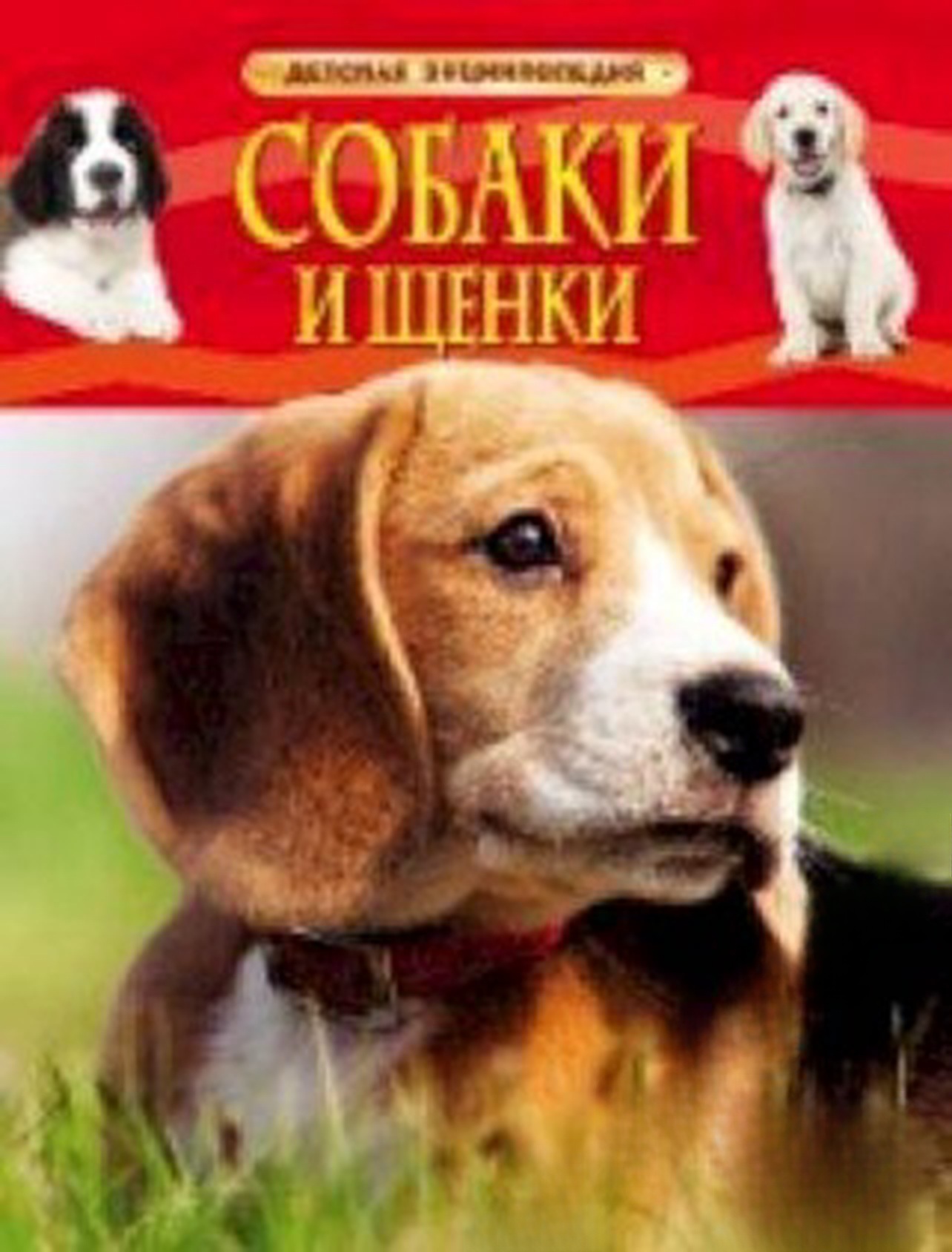 Собаки и щенки. Детская энциклопедия — cover