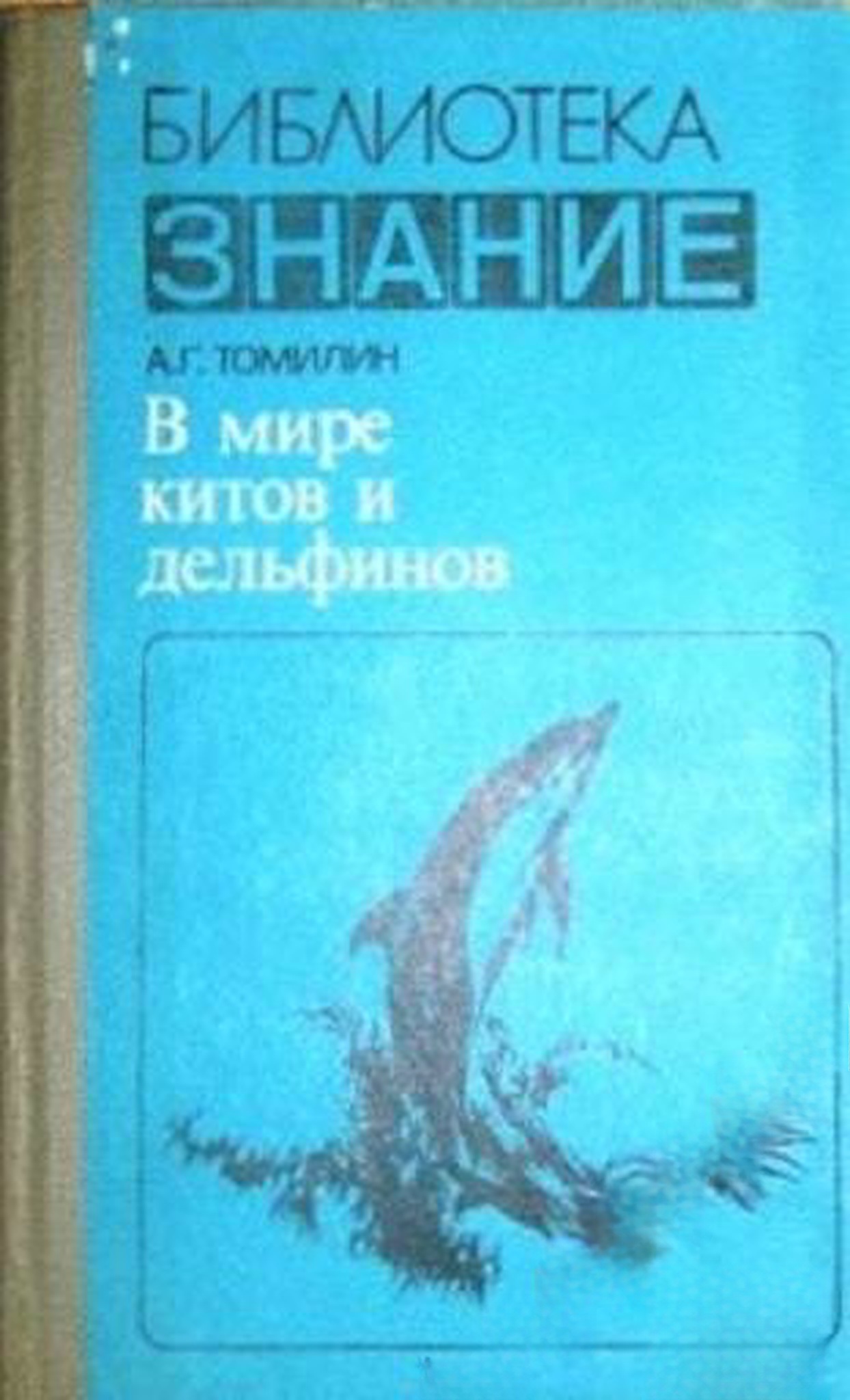 В мире китов и дельфинов