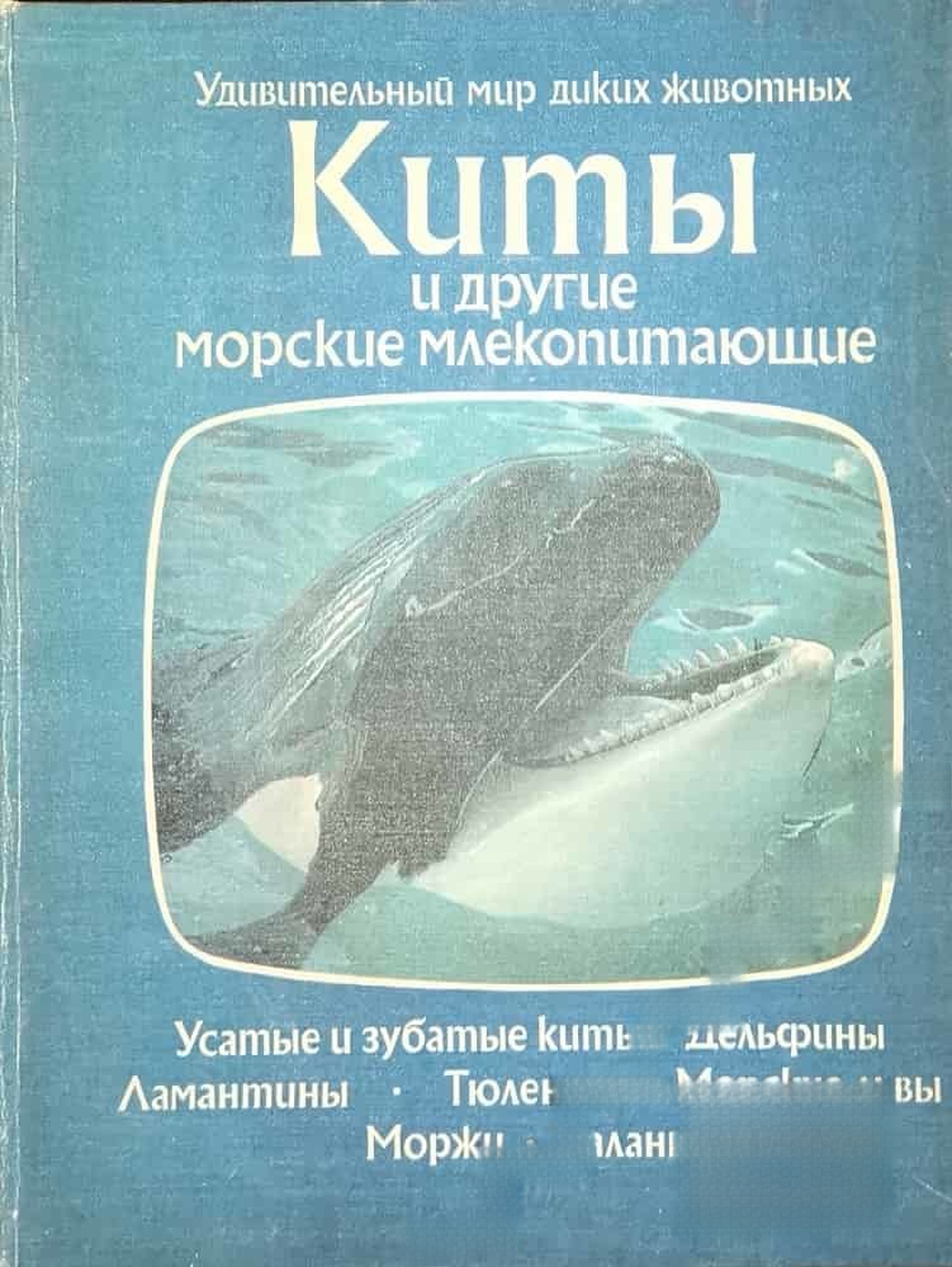 Киты и другие морские млекопитающие — cover